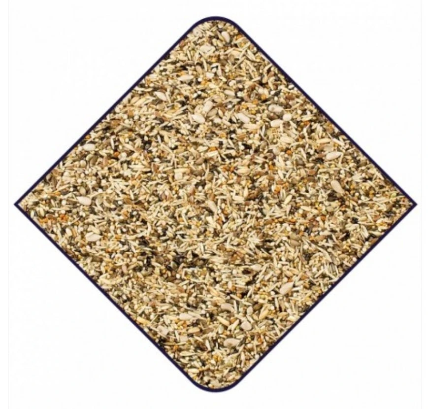 Expert Putters 1kg - Witte Molen - Hoogwaardige Samenstelling(Kopie Expert Putters 2kg Witte Molen) 1 Expert Putters 1kg - Witte Molen - Hoogwaardige Samenstelling(Kopie Expert Putters 2kg Witte Molen)