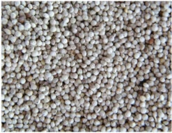 Perilla Wit 500gram(Perilla Wit 500gram)