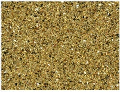 Voorkant -Birdshop Christina Screenshot 20220308 110402 Chrome