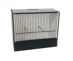 TT Kooi Inlandse Vogels 18cm