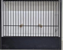 TT Kooi Parkieten Zwart