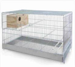 Kweek Kooi Cova 74cm Agaporniden Met Nest