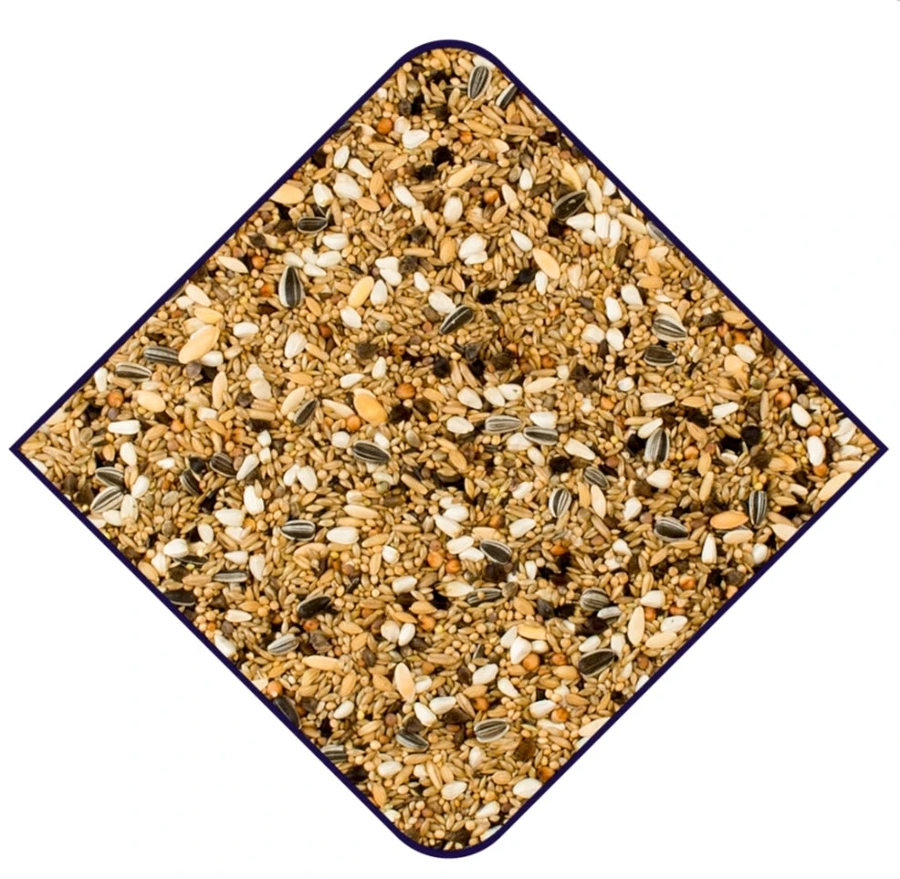 Expert Pyrrhura's 20kgWitte Molen(Expert Pyrrhuras 20kg Witte Molen) 2 Expert Pyrrhura's 20kgWitte Molen(Expert Pyrrhuras 20kg Witte Molen) - Afbeelding 2