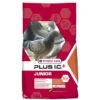 Plus I.C.+ Junior Jonge Duiven 20kg - Duivenvoer - 20 Kg - Versele Laga(I C Junior Plus Ic Jonge Duiven Duivenvoer 20 Kg Versele Laga)