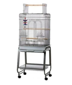 Aurelia Papegaaienkooi