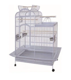 Venus Papegaaienkooi