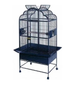 Claudia Papegaaienkooi