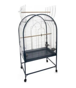 Papegaaienkooi Coco 2