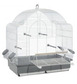 Luxor Kooi Met Opening Aan De Voorkant