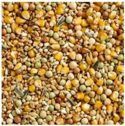 Economic Met Gerst 25 Kg - Natural(Economic Met Gerst 25 Kg) -Birdshop Christina Screenshot 20220513 162440 Chrome