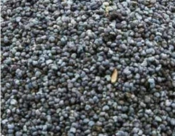 Blauw Maanzaad 5kg(Blauw Maanzaad 5kg)