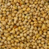 Rondzaad Geel ( Millet ) 5kg(Rondzaad Geel Millet 5kg)