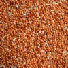 Rondzaad Rood ( Millet ) 25kg - Versele Laga(Versele Laga Rode Millet 25kg)