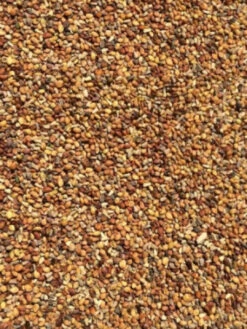 Weegbree 5kg(Weegbree 5kg 1)