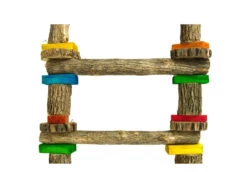 Birrdeeez5-Step Sekelbos Ladder - L