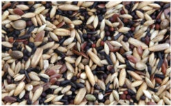 Prestige Kanaries Super Kweek 5kg - Mengeling Van Kwaliteitszaden Voor De Kweek(Prestige Kanaries Super Kweek 20kg Mengeling Van Kwaliteitszaden Voor De Kweek 1)