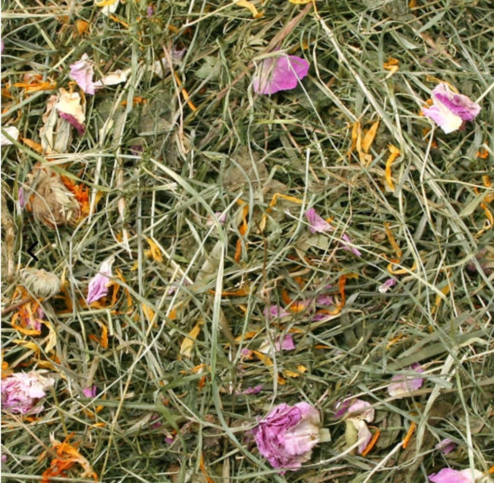 Bloesemhooi Zomer Bloem 500 Gram 2 Bloesemhooi Zomer Bloem 500 Gram - Afbeelding 2