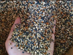 Gezondheidszaden 15kg Duvo+(Duvo Gezondheidszaden 15kg)