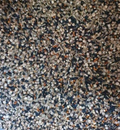 Gezondheidszaden 15kg Duvo+(Duvo Gezondheidszaden 15kg) 8 Gezondheidszaden 15kg Duvo+(Duvo Gezondheidszaden 15kg) -Birdshop Christina Screenshot 20220830 071329 2dehands 1c355ff2 312a 4858 be98 7c290d6f273c