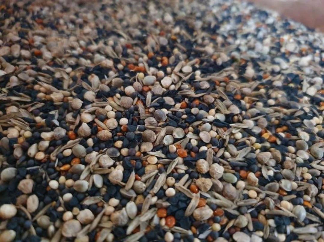 Gezondheidszaden 15kg Duvo+(Duvo Gezondheidszaden 15kg) 5 Gezondheidszaden 15kg Duvo+(Duvo Gezondheidszaden 15kg) - Afbeelding 5