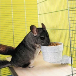 Savic Kunststof Voederbak ( Crock ) 300 Ml -Birdshop Christina Screenshot 20220914 210443 fa783423 011f 4cf3 8764 b6f8094b488e