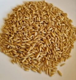 Gepelde Haver 1kg(Gepelde Haver 1kg)