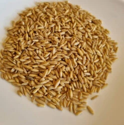 Gepelde Haver 5kg(Gepelde Haver 5kg)