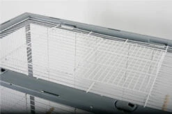 Neo Jili XL Kooi- Zolux -Birdshop Christina Screenshot 20220922 084308