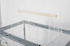 Neo Jili XL Kooi- Zolux -Birdshop Christina Screenshot 20220922 084315