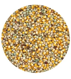 Classic 4 Seizoenen - Duivenvoer - 5 Kg - Versele-Laga(Kopie Van Classic 4 Seizoenen Duivenvoer 5 Kg Versele Laga)