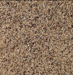 Birdelicious Spinus - Sijsjes 2kg, Deli Nature(Aves Cultura Spinus 2kg Deli Nature) -Birdshop Christina Screenshot 20220927 201920