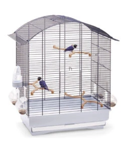 Kooi Imac - AGATA Gold 58x33x63 ( Zie Foto 2 )