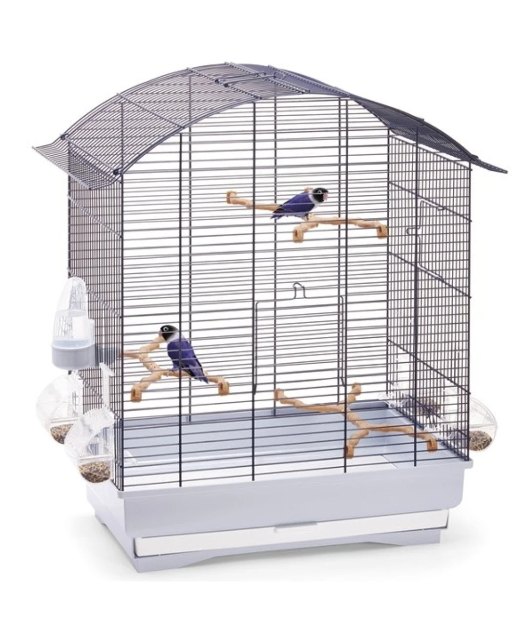 Kooi Imac - AGATA Gold 58x33x63 ( Zie Foto 2 ) 1 Kooi Imac - AGATA Gold 58x33x63 ( Zie Foto 2 )