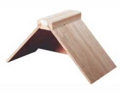 Rustplankje Hout Duif - Duvo+(Rustplankje Hout Duif Duvo)