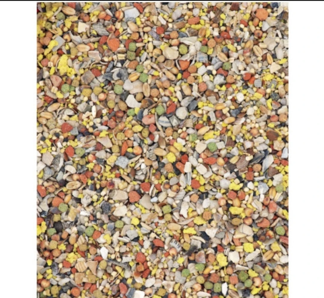 Country's Best MinaVital 4kg - Mengsel Van Mineralen, Vitamines En Grit - Gevogelte 2 Country's Best MinaVital 4kg - Mengsel Van Mineralen, Vitamines En Grit - Gevogelte - Afbeelding 2