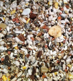 Deli Nature 64 Papegaai Supréme 1kg(Nr 64 Deli Nature Papegaai Supreme 1kg) -Birdshop Christina deli nature 64 with fruit 1kg