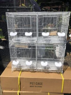 Witte Kweek Kooi Stapelbaar 60x25x35 ( 1 Doos 6 Stuks ) -Birdshop Christina received 269142391011990 8283435a ece8 492e 8ea4 e61f10f7aaf7