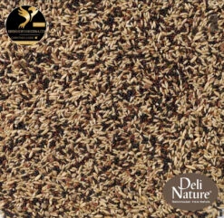 Deli Nature 50 - Kanarie Basis - 5kg(Nr 50 Deli Nature Kanarie Basis 5kg)